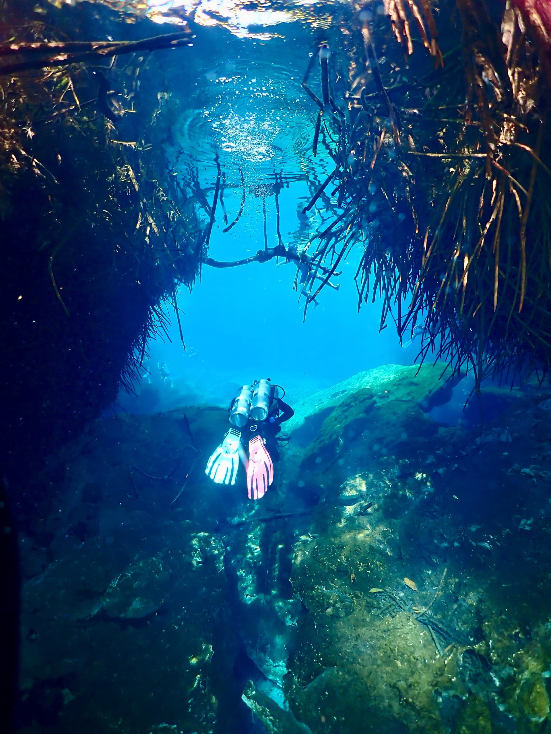 Dive Refresher at Casa Cenote & Dos Ojos with Mexidivers