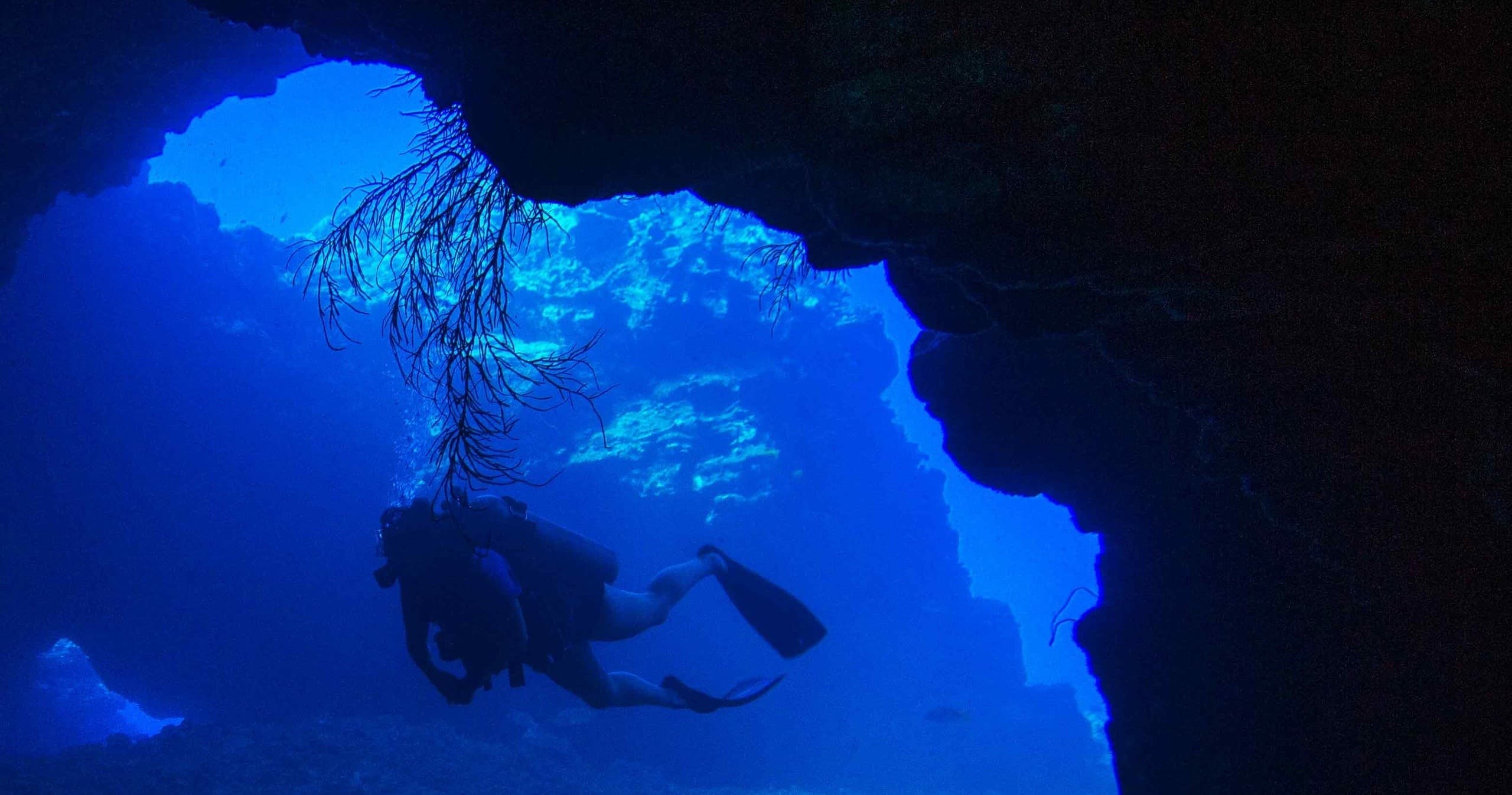Explore Lana’i Cathedrals: A Small-Group SCUBA Diving Adventure from Maui