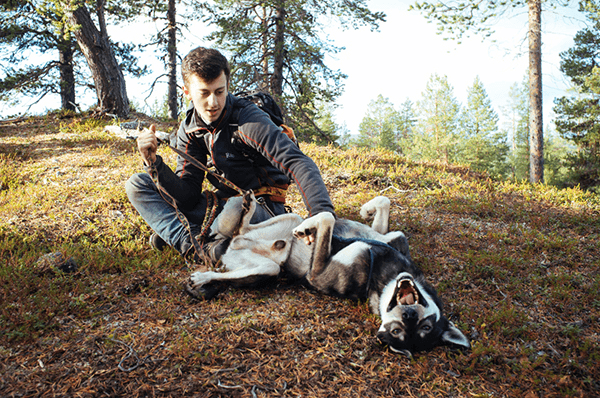 Land Adventures with Hetta Huskies at Ullatieva Trail