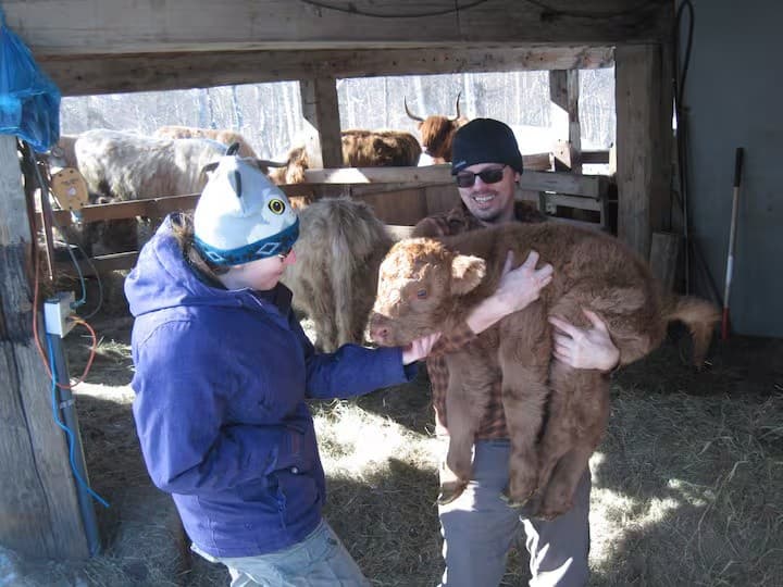 Hands-On Homestead: Round Up and Cuddle Calves Near Trapper Creek