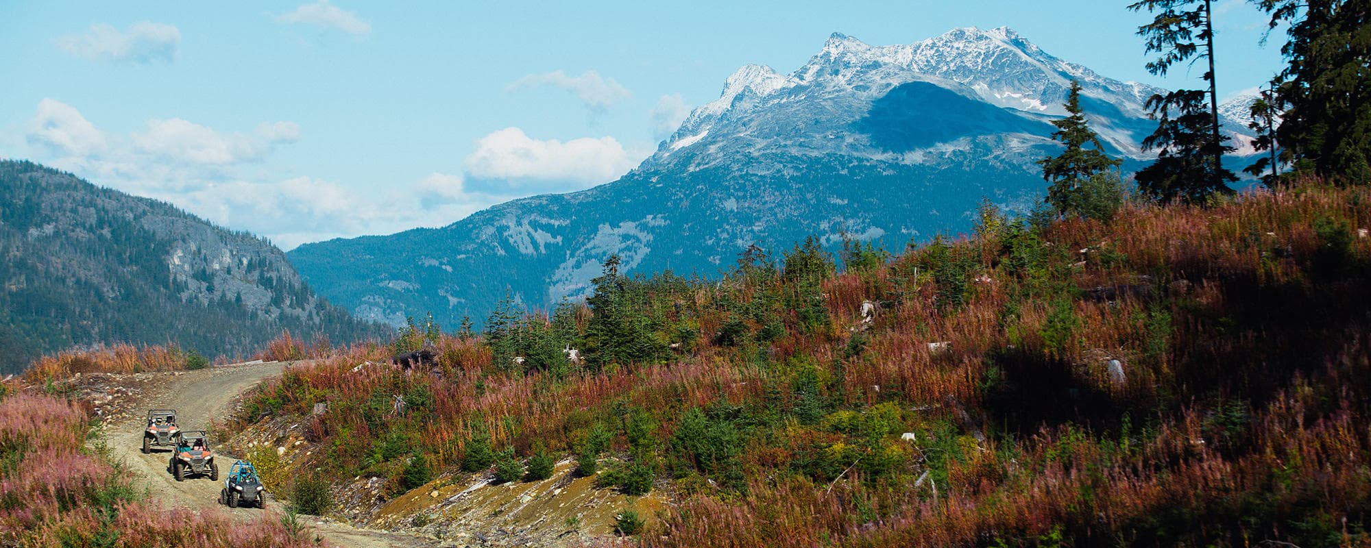 Hiker walking wildflower alpine trail with distant mountain views