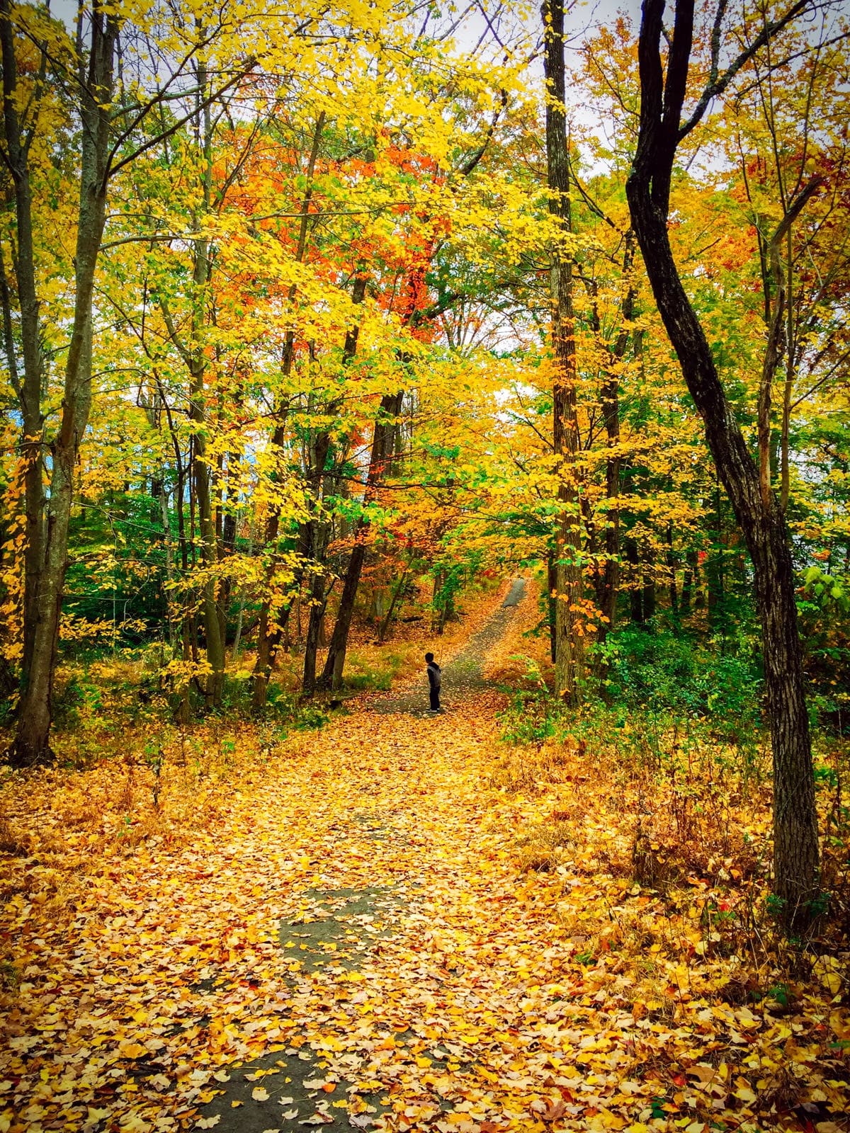 Outdoor Adventures with Trees For Tomorrow in Eagle River