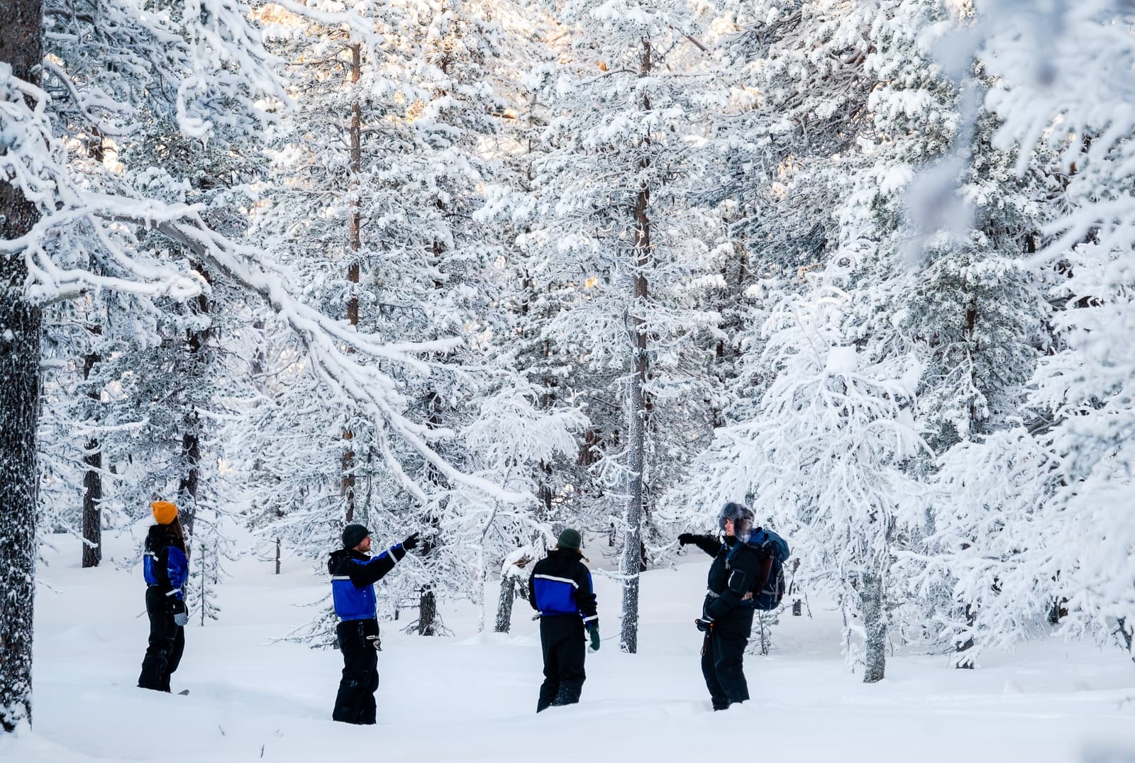 Snowshoeing Through Lapland’s Silent Forests: A 2-Hour Winter Walk from Northern Lights Village Pyhä photo 2