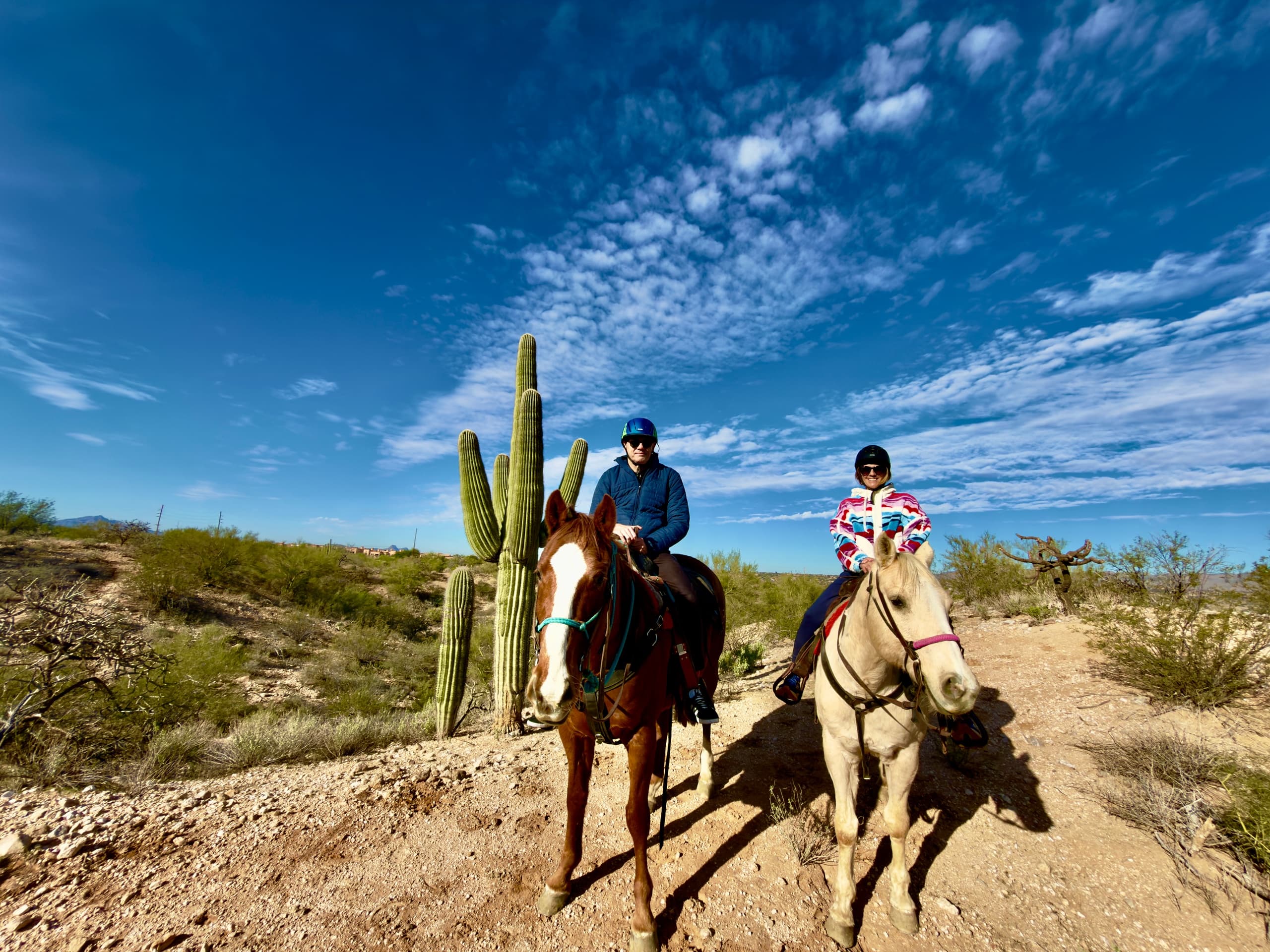 Family-Friendly 1 Hour Trail Ride: Easy Sonoran Desert Horseback Experience in Tucson