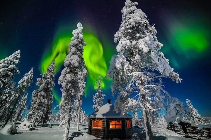 Winter Wildlife & Northern Lights Adventure at Aurora Camp