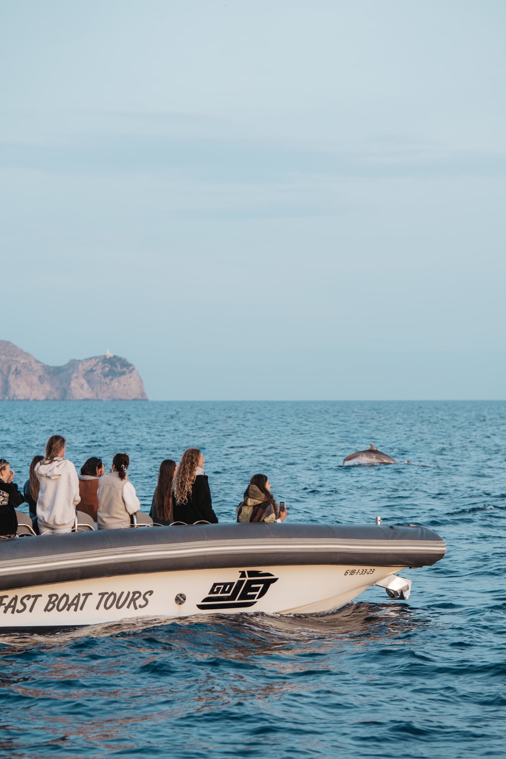 Mallorca Speedboat Dolphin Safari from Alcudia: Fast-Boat Wildlife Tours photo 3