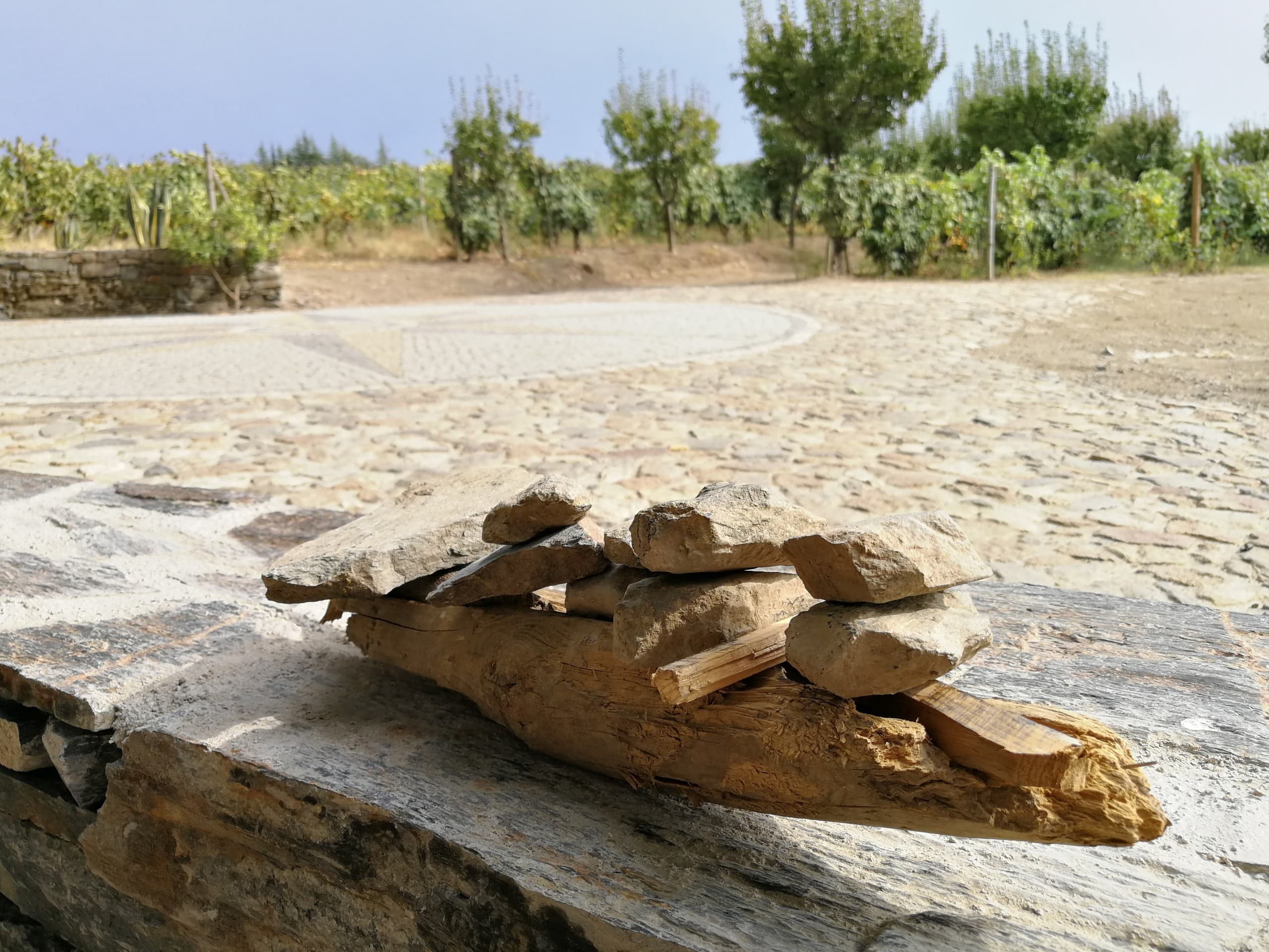 Authentic Douro Valley: Day Tour Along the N222 from Porto photo 2