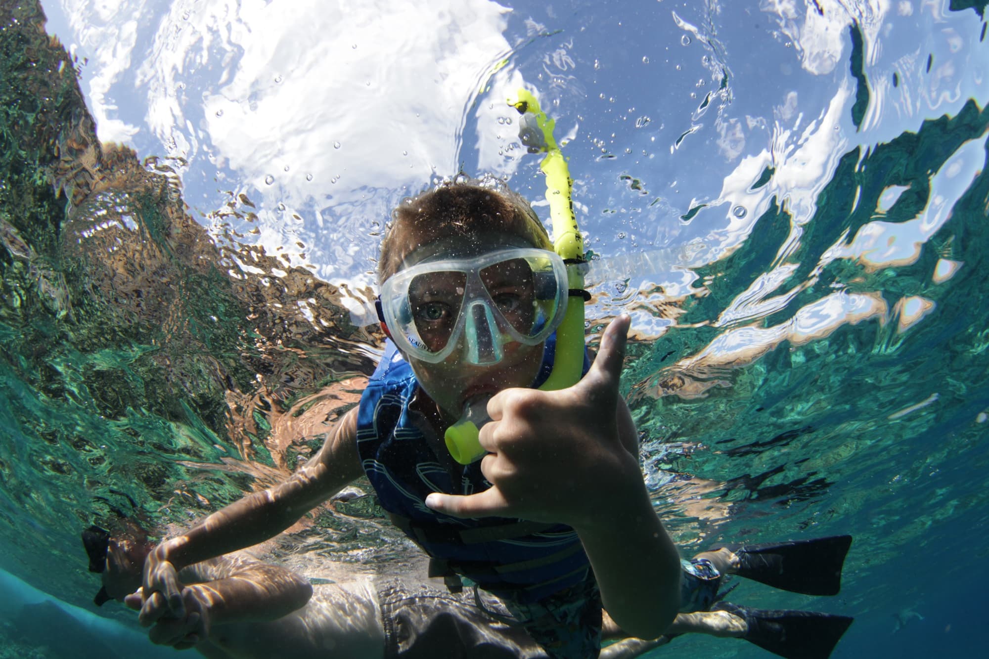 Maui Snorkel & Sunset Sail with PacWhale Eco-Adventures