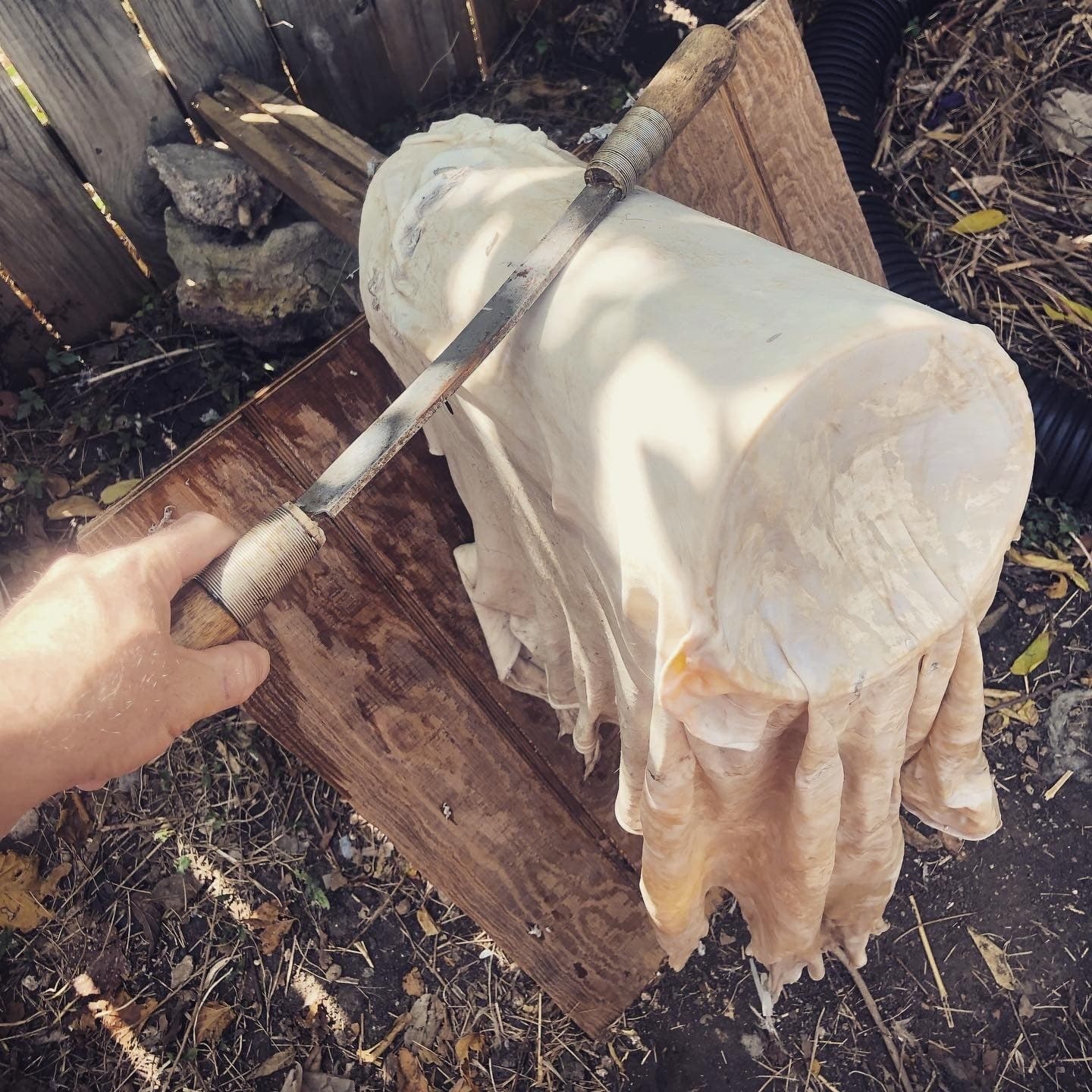 Learn Buckskin Braintanning: Hands-On Traditional Workshop in Kremmling, Colorado photo 3