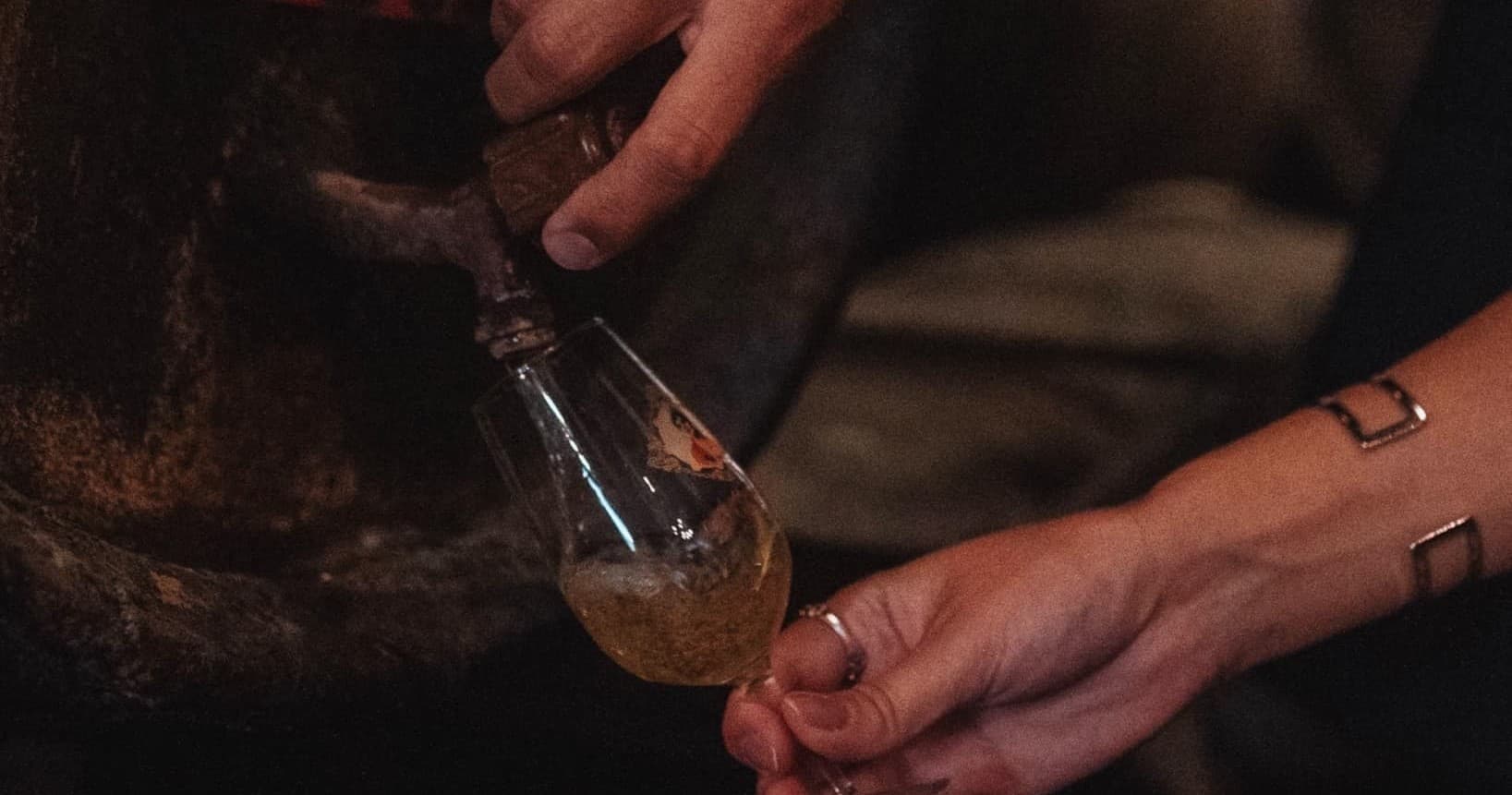 Wine & Culture: Cádiz Night Tasting with Farm Experiences & Tours