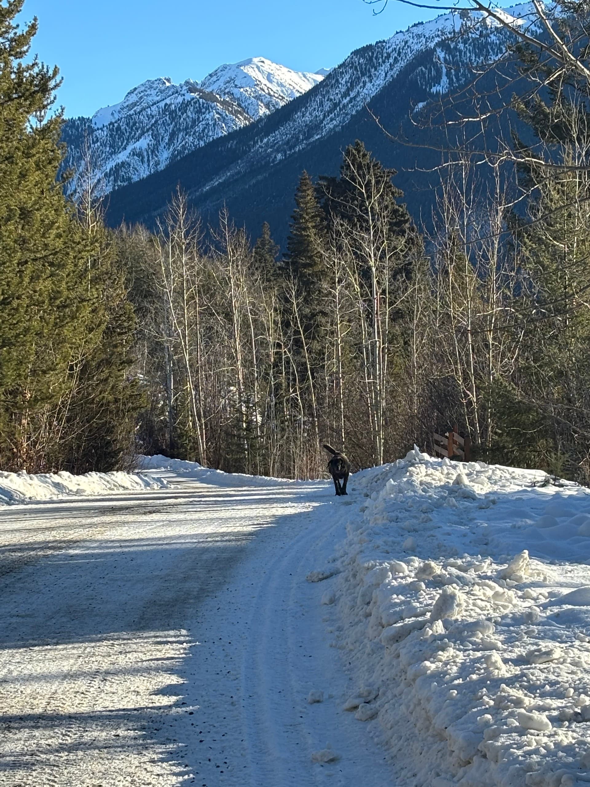 Glacier-Fed Lakes & Ridge Views: Whistler Guided E-Bike Tour photo 3