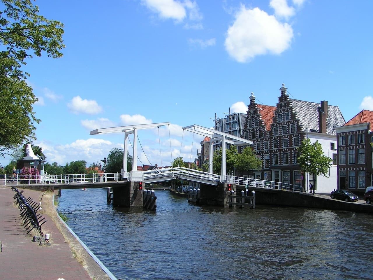Private Haarlem City Tour: Tulips, Frans Hals & WWII History from Amsterdam photo 4