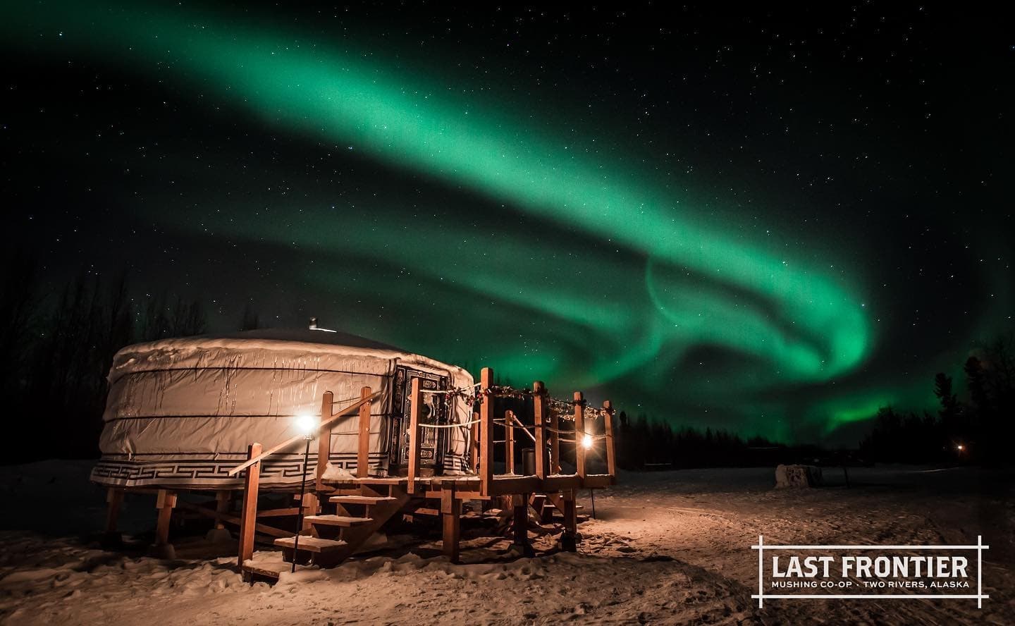 Dog Sledding & Aurora Viewing with Last Frontier Mushing Co-op