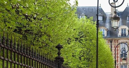Marais Private Tour in Paris with Paris in Person