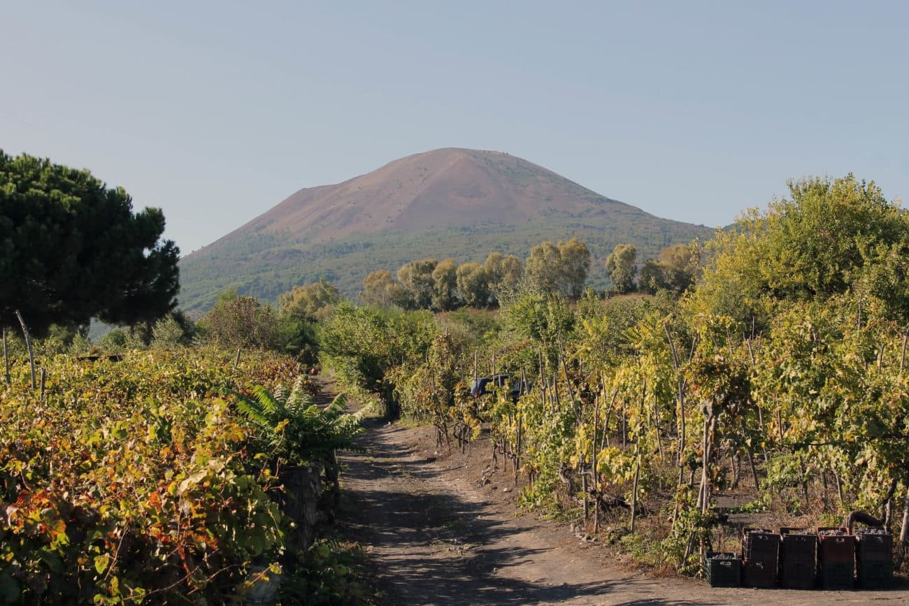 Pompeii Ruins & Wine Tasting with Askos Tours