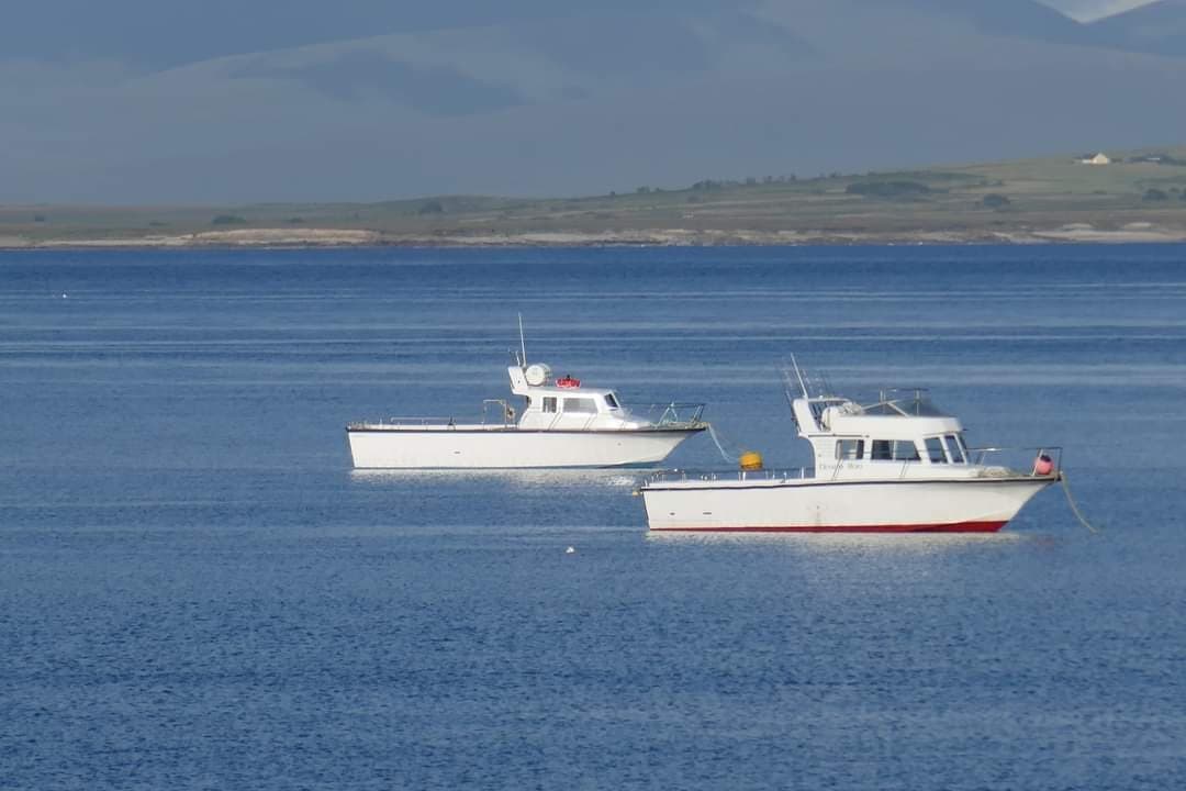 Two Hours Sea Safari from Blacksod Pier: Inishkea Islands Wildlife Cruise