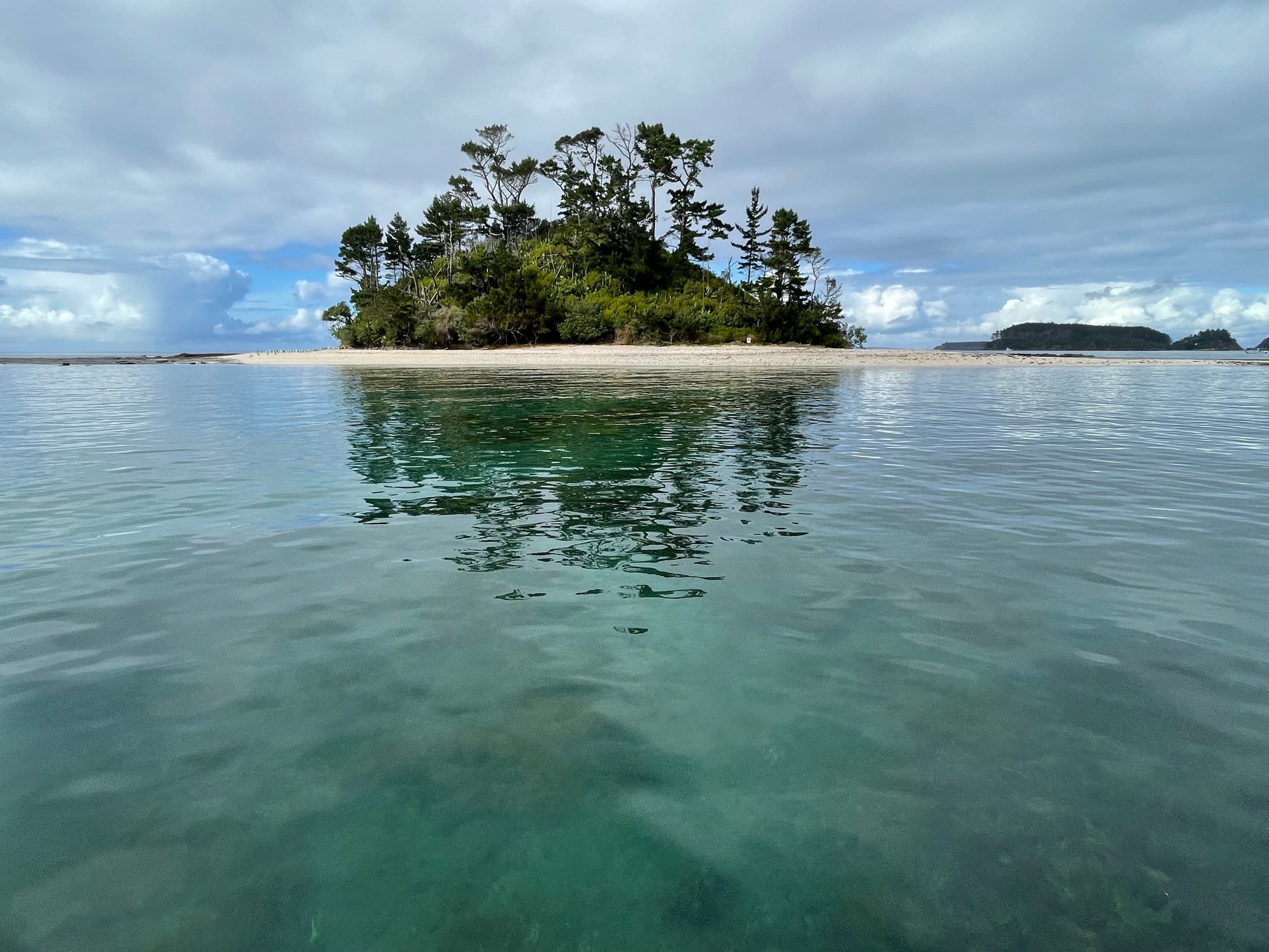 Scenic island in Hibiscus Coast coastal waters with calm sea