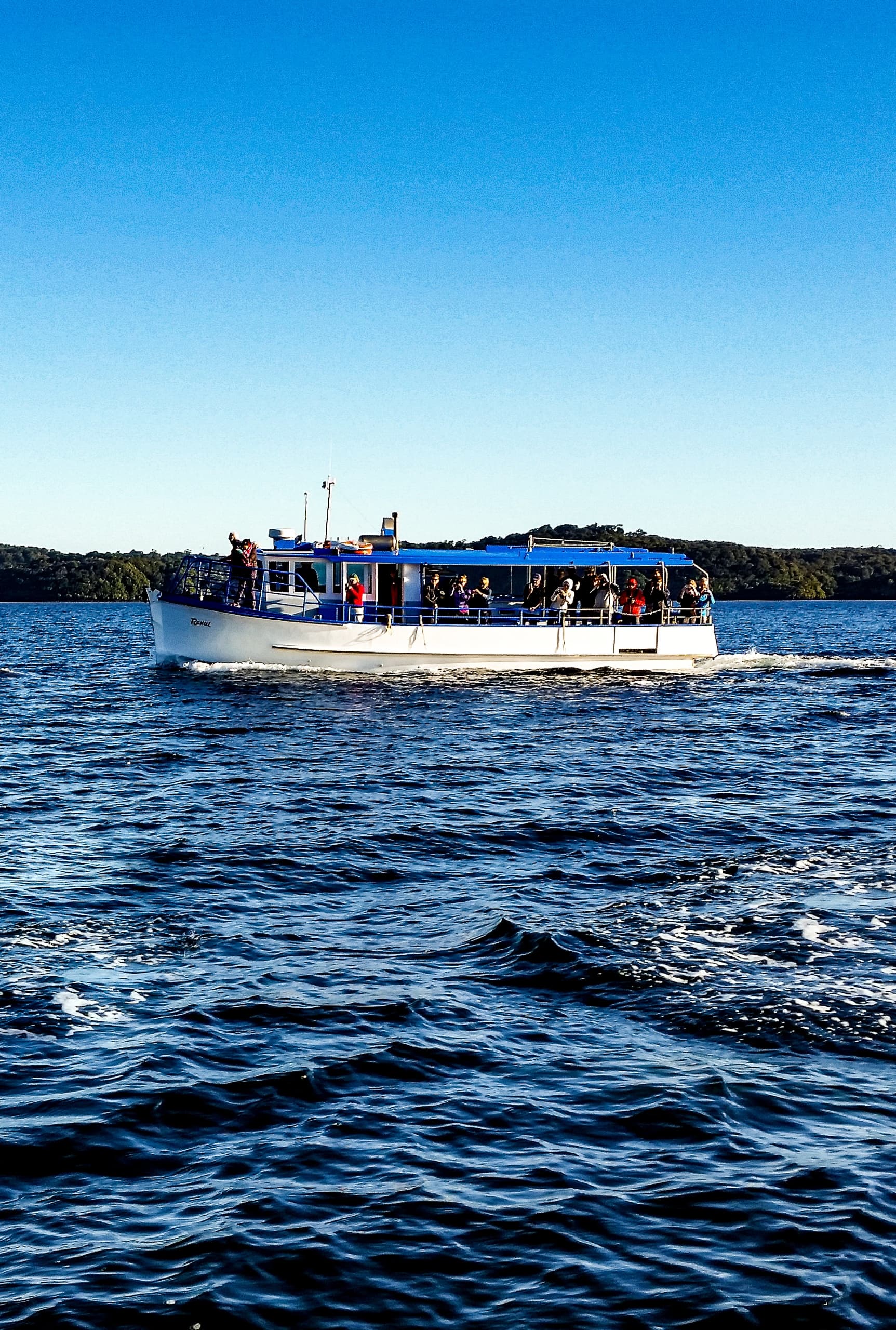 Water Adventures at Oban with Rakiura Adventure Ltd
