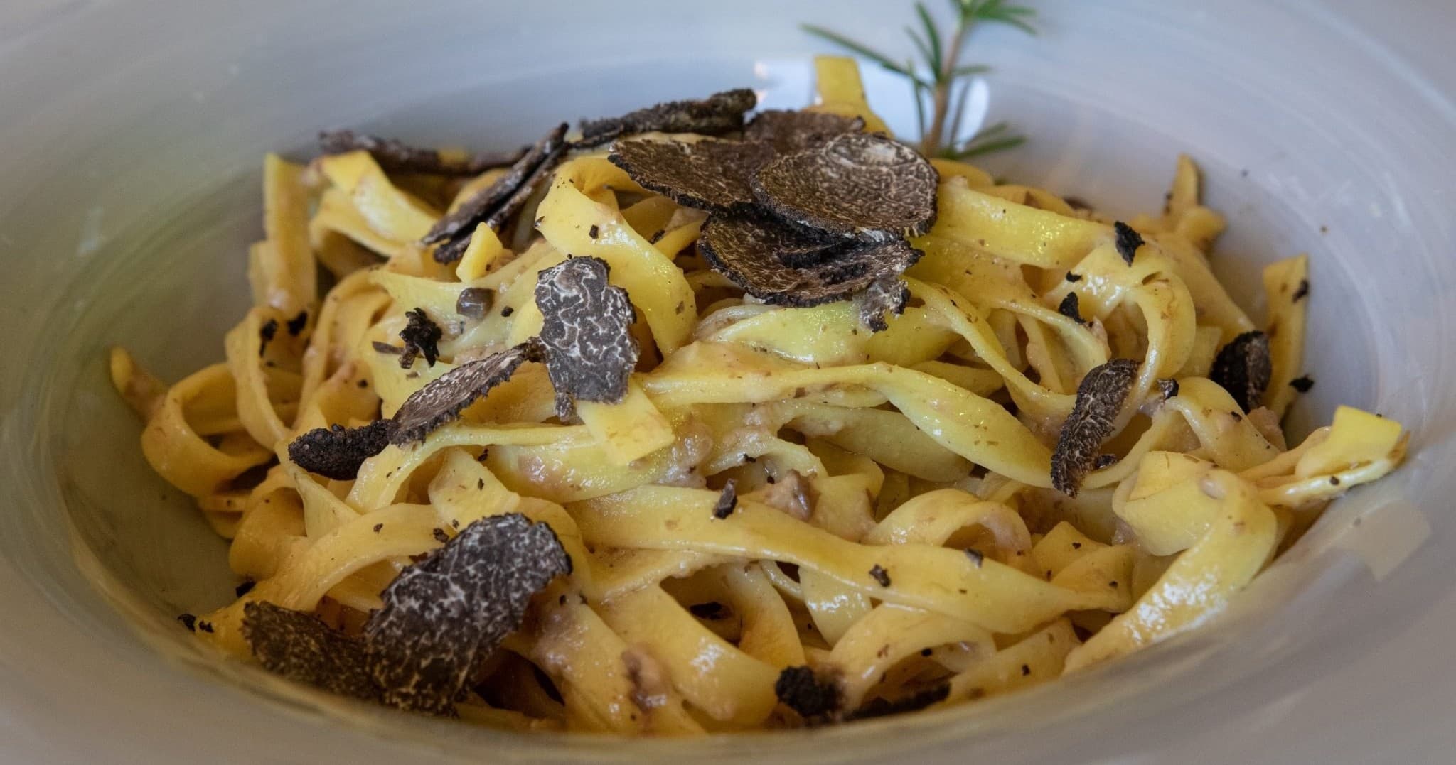 Culinary Outdoor Adventure: Truffle Hunting in San Gimignano by Farm Experiences & Tours