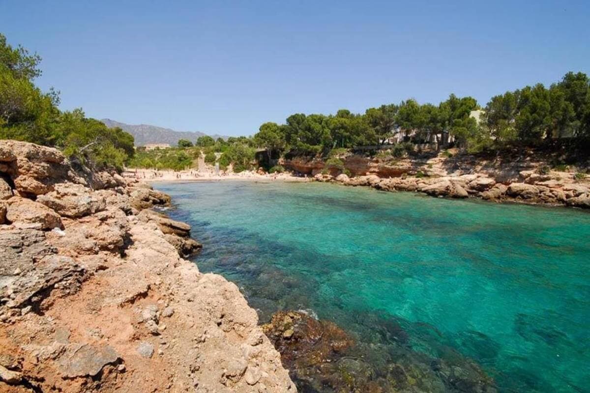 Underwater Adventure at Cala Vidre with Ohana Diving