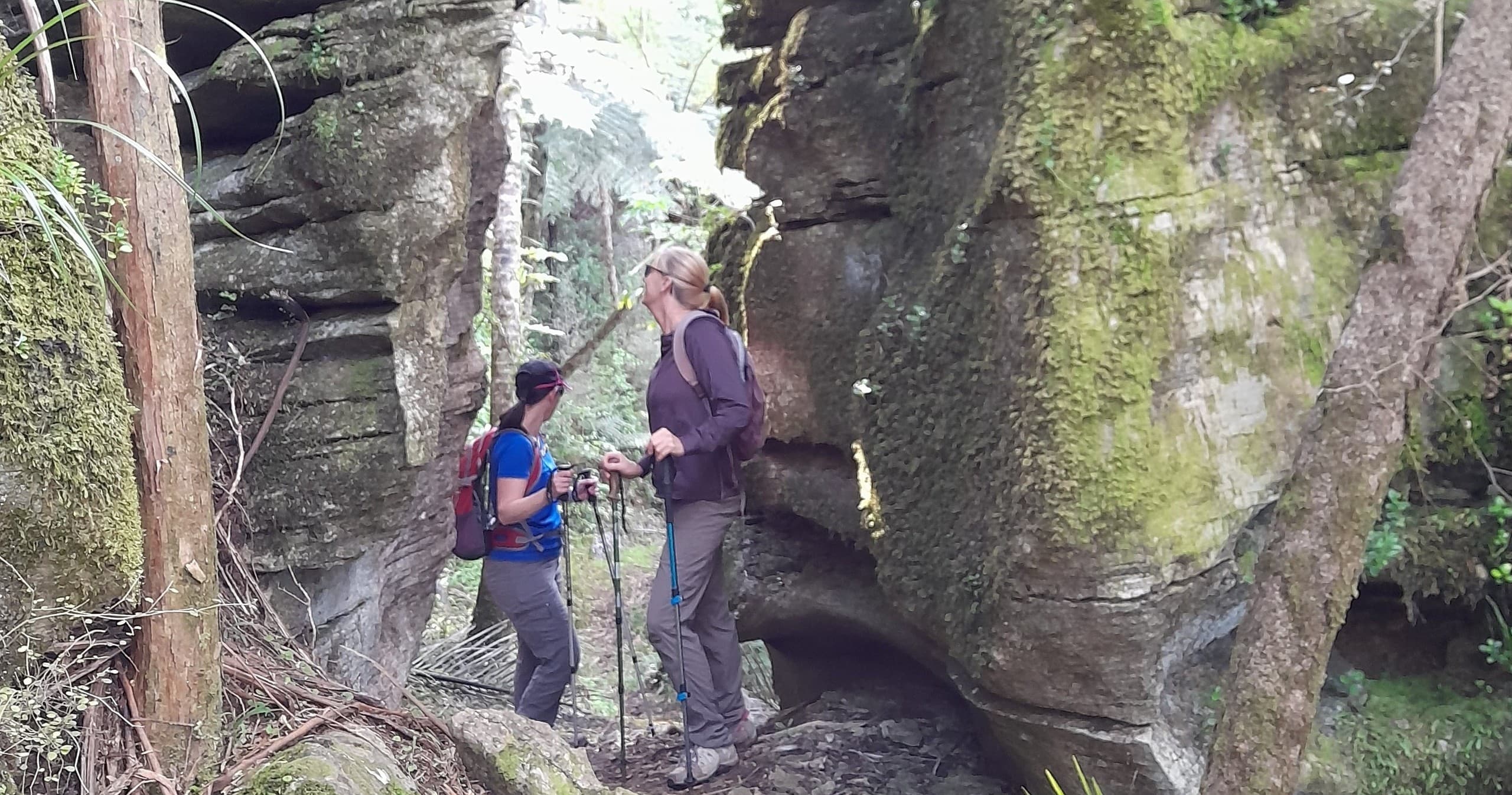 Hikers navigating mossy rock canyon trail in native forest