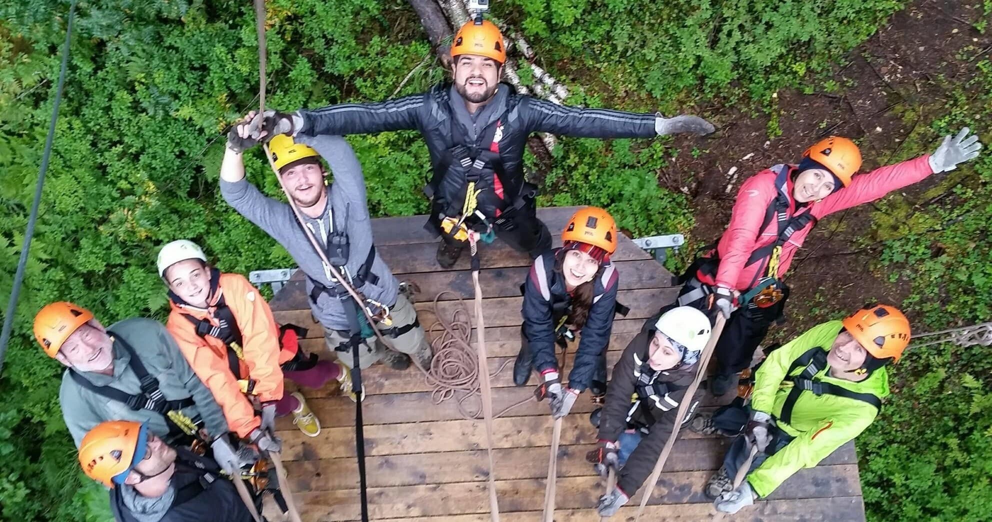 Aerial group on wooden platform looking up in forest canopy
