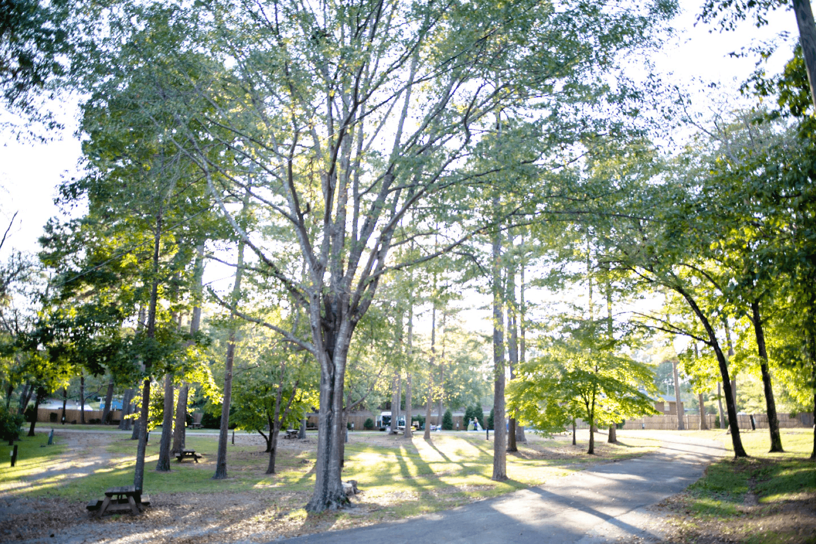 Campsite 1 at Majestic Caverns: Family-Friendly Campground