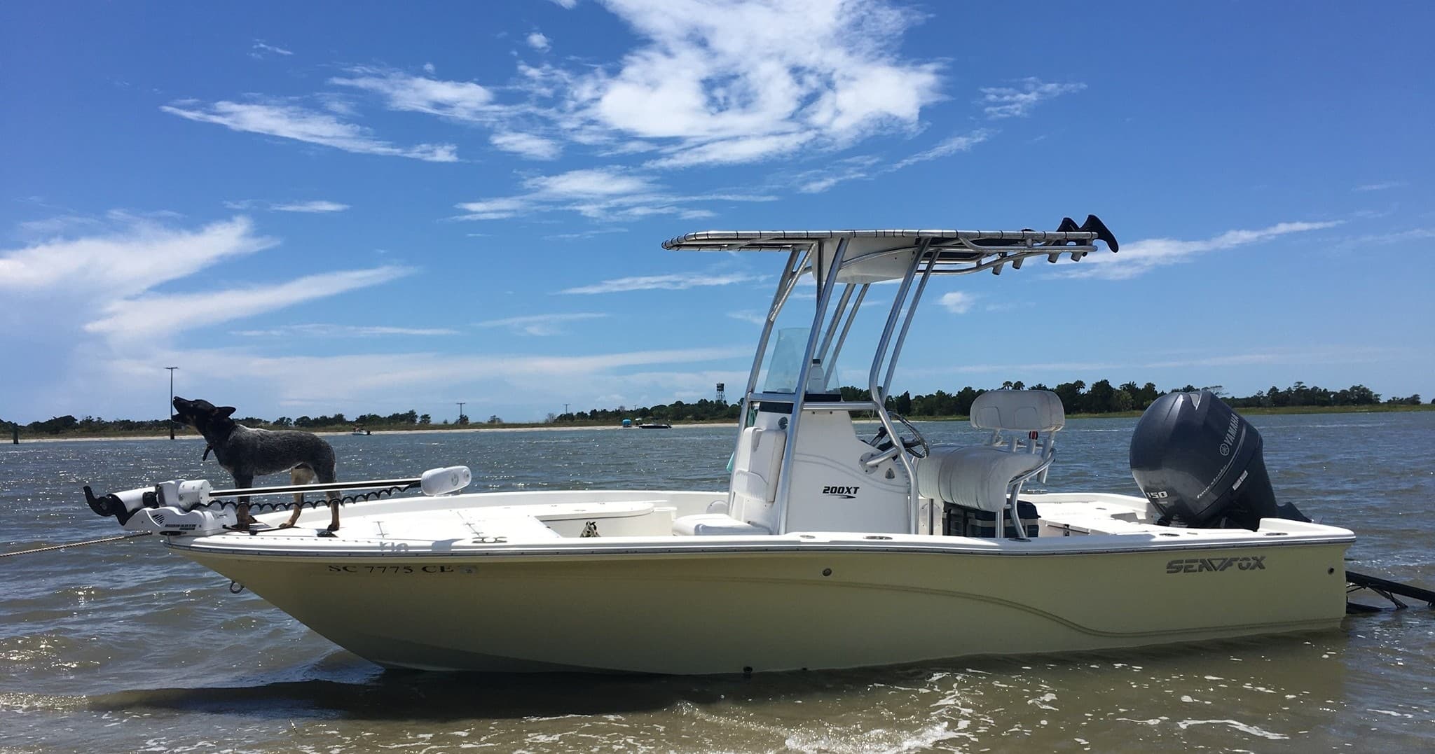 Center console boat with dog navigating coastal waters, fishing trip