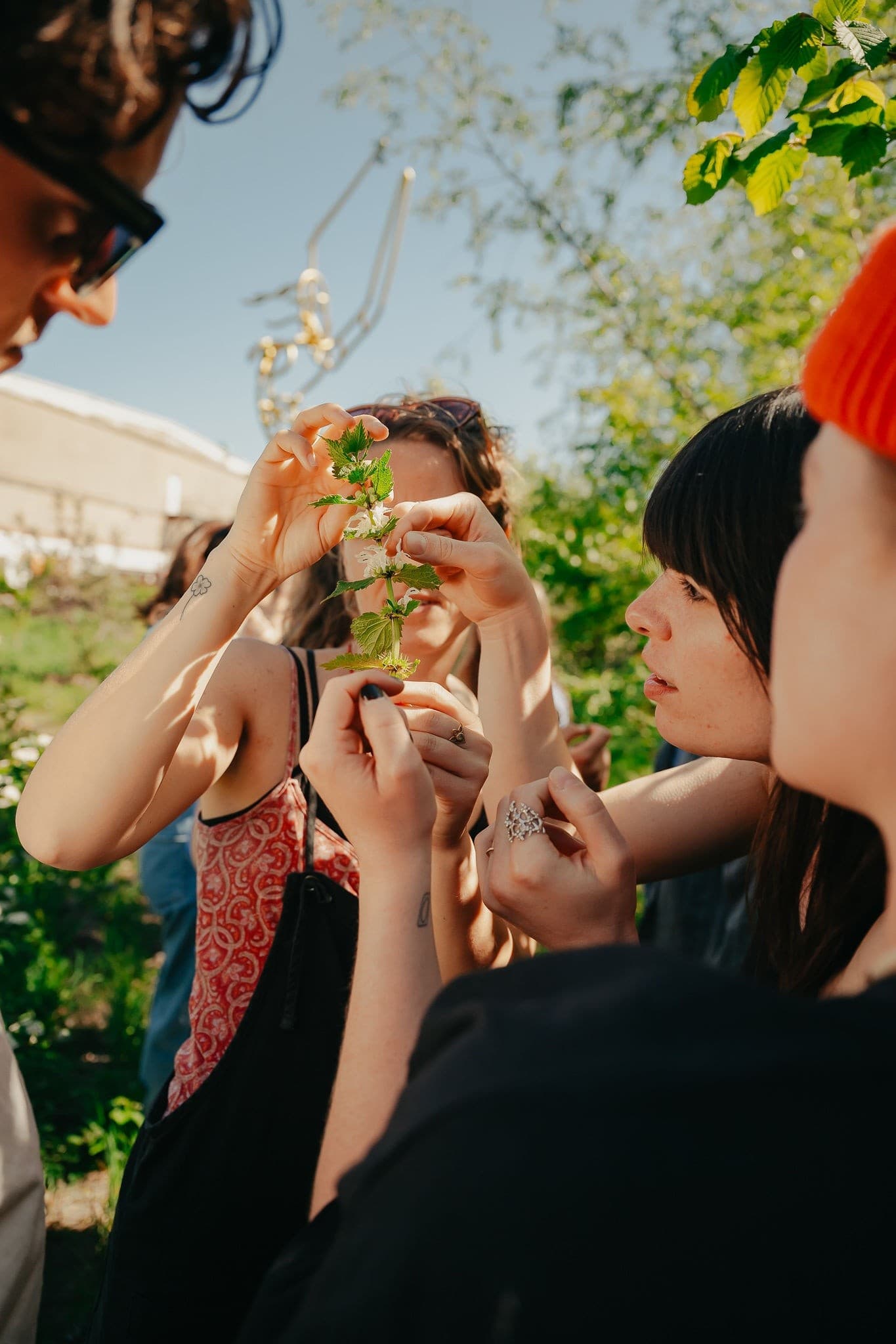 Wild foraging and open-fire dinner at Het Wilde Diner X Wilde Weide