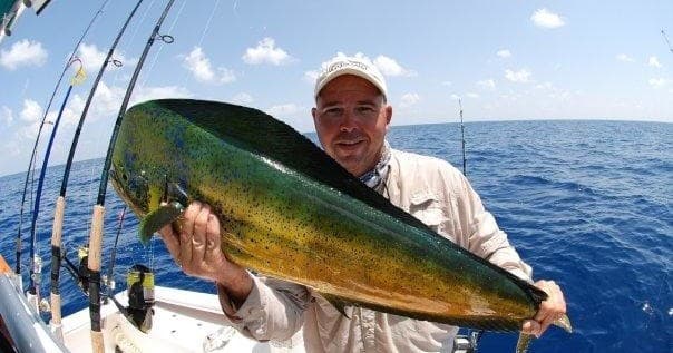 Water Activities with Six Chuter Charters Near Shore Adventure
