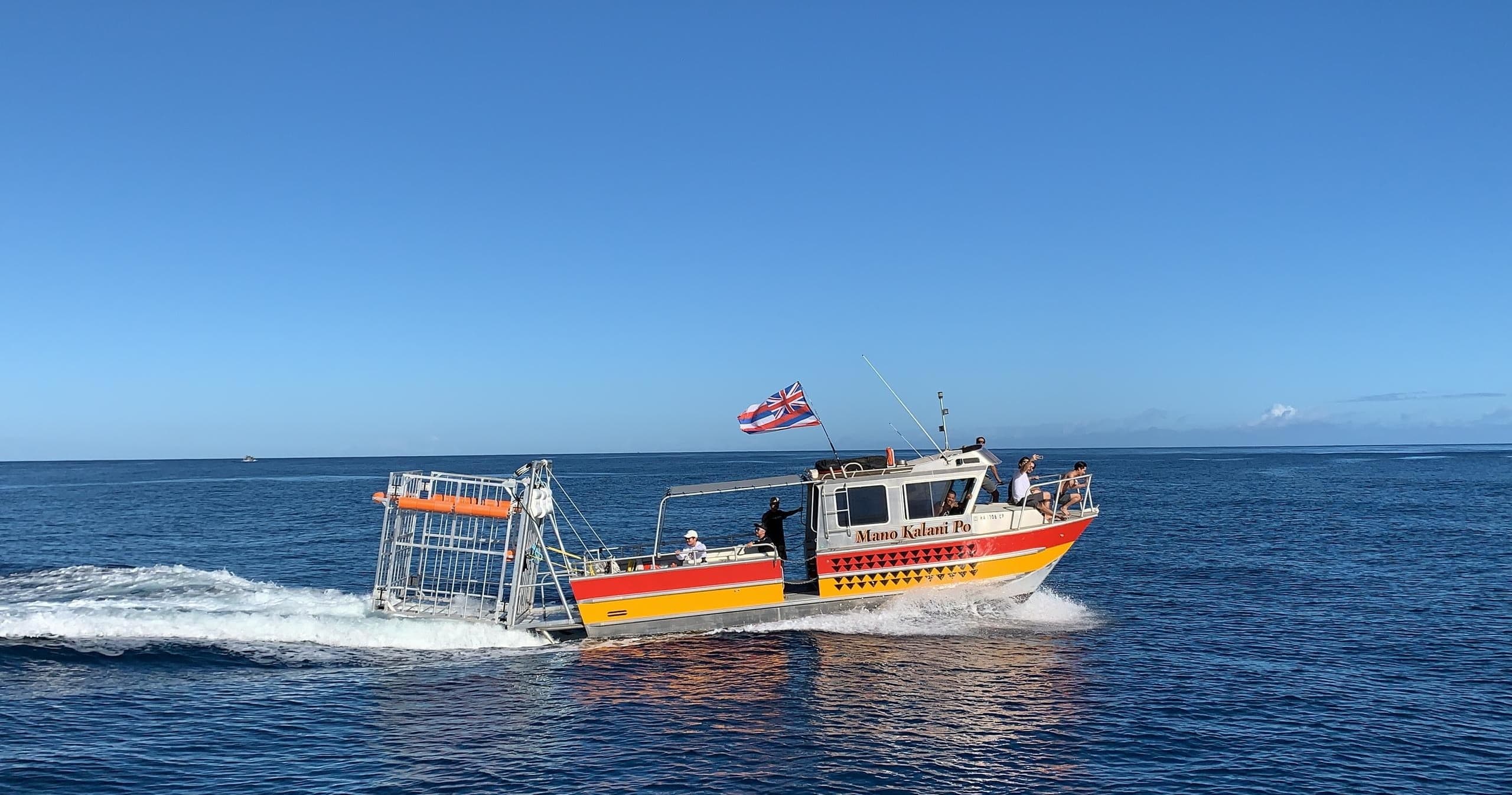 Shark Dive in Haleiwa: Hawaii’s Only Native Hawaiian-Owned Cage Diving Adventure