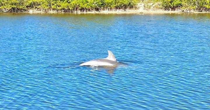 Brevard County Tours’ Majestic Nature Tour in Palm Bay