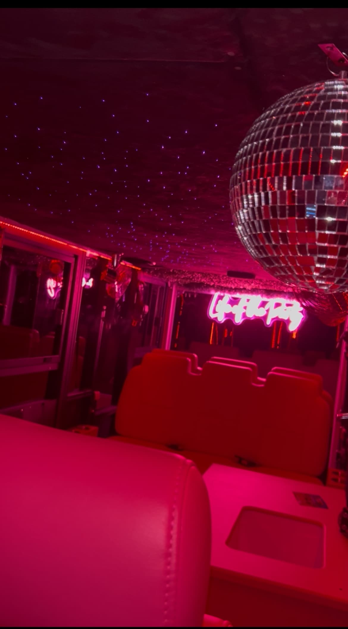 Galentine’s Karaoke Night: Pink Electric Mini Bus Bar Tour in Houston photo 2