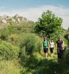 Hikers trekking through verdant hillside on a sunny trail