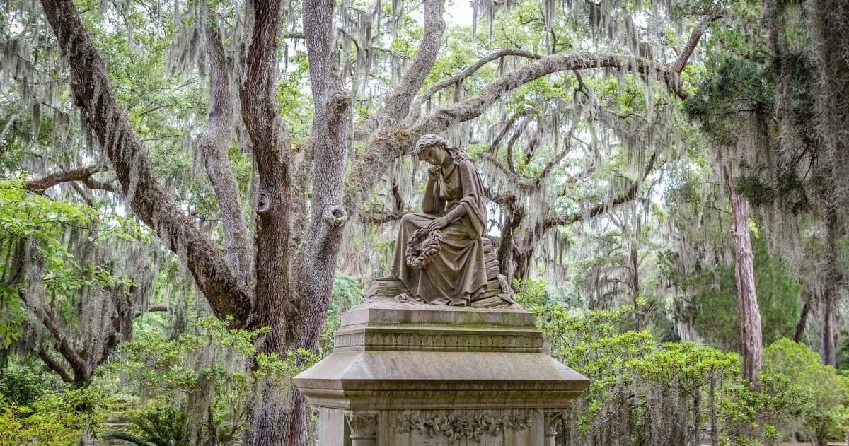 Land Adventures in Savannah with Silver Oak Transportation