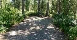 Camping & Nature at Montana Creek Campground