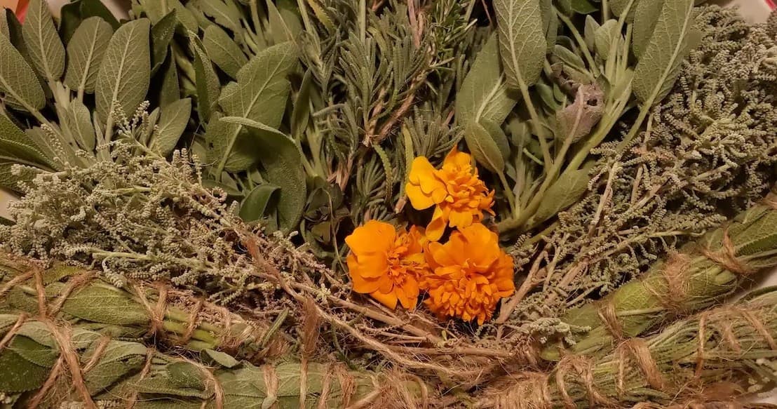 Herbalism Farm Experience with Farm Experiences & Tours