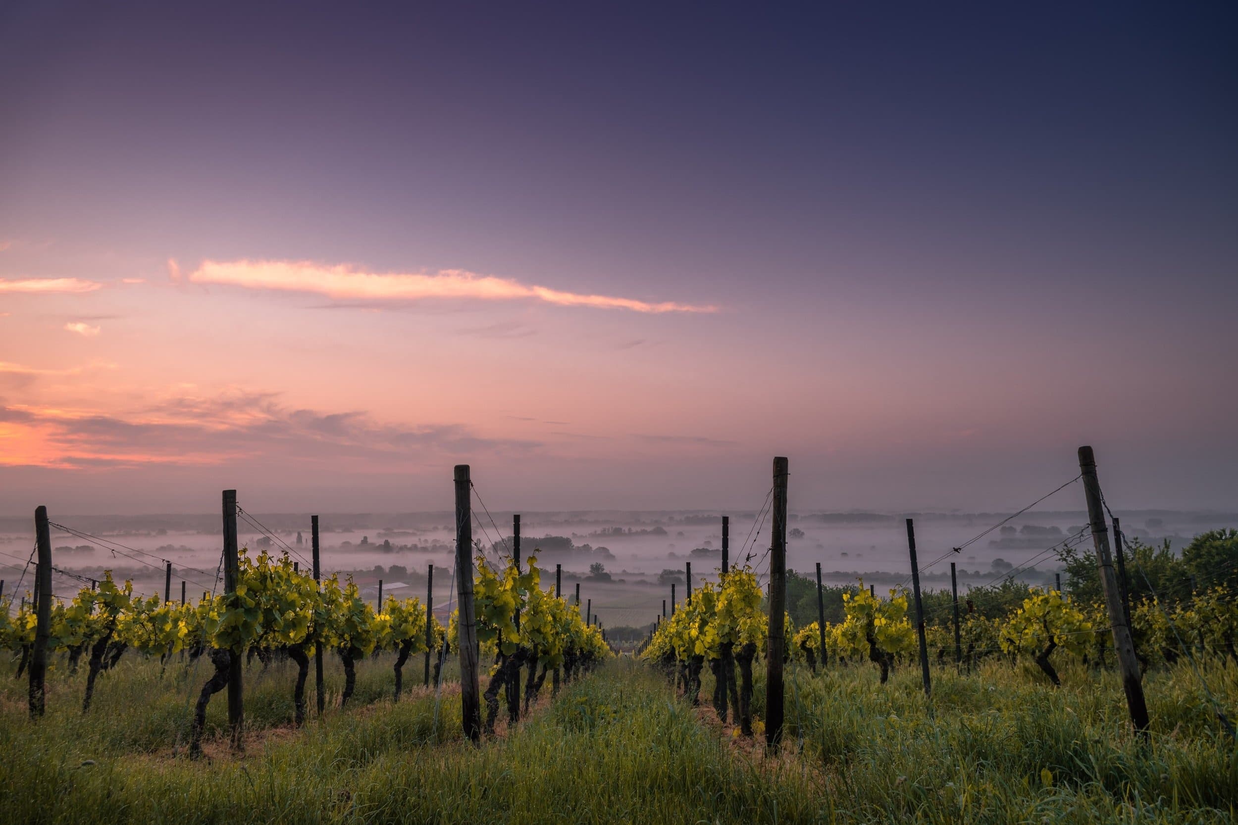 Private Land Rover Driver Service with Bohemian Highway Travel Co. in Sonoma