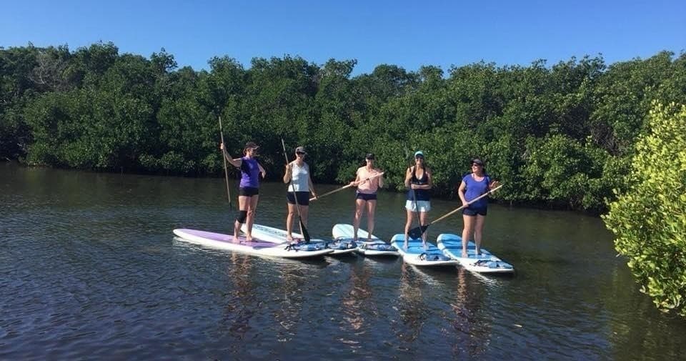 Kayak & Paddleboard Rentals on Florida’s Longboat Key