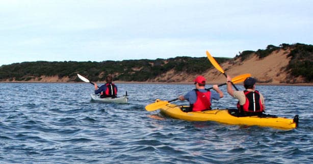 Group kayaking in yellow kayaks off a scenic coastal shoreline