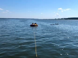 Lowcountry Tubing & Dolphin Tours in Savannah Waters