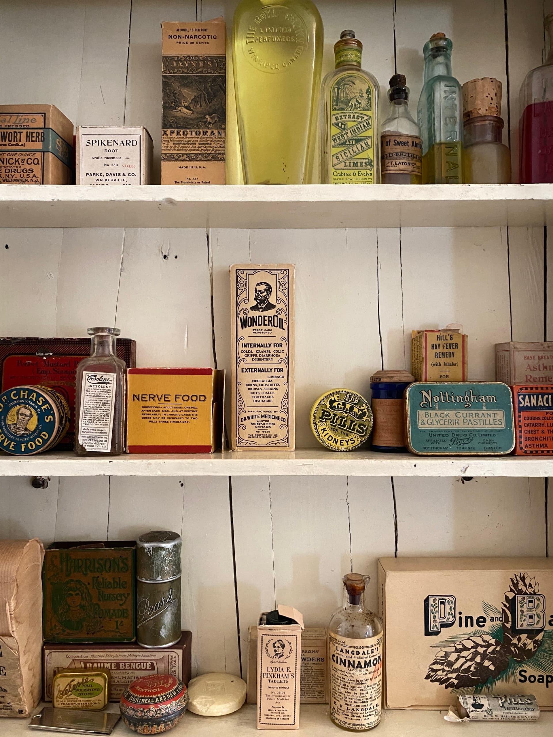 Exploring Victorian-Era Drug History at Dalnavert House in Winnipeg
