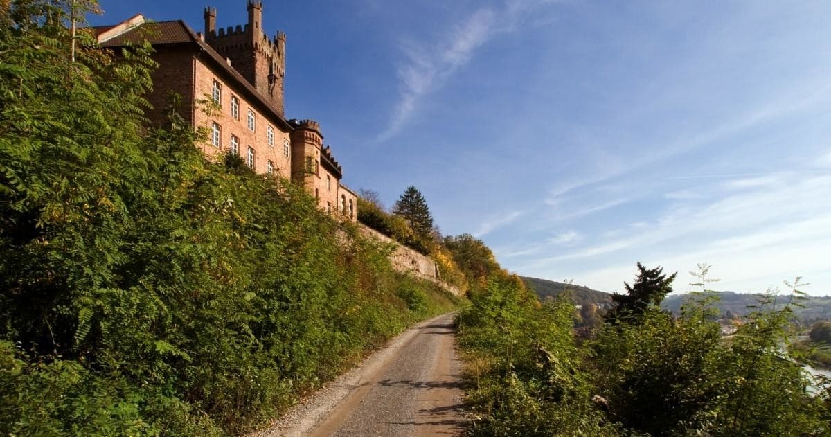 Cultural & Scenic Tour of Neckar Valley with Henry Heidelberg Tours