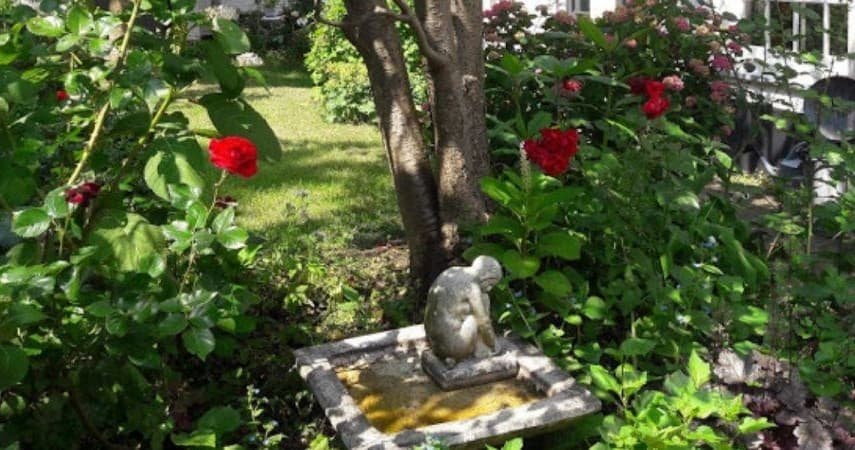 Historical Walking Tour of Leiden's Hidden Hofjes by Cicerones photo 1