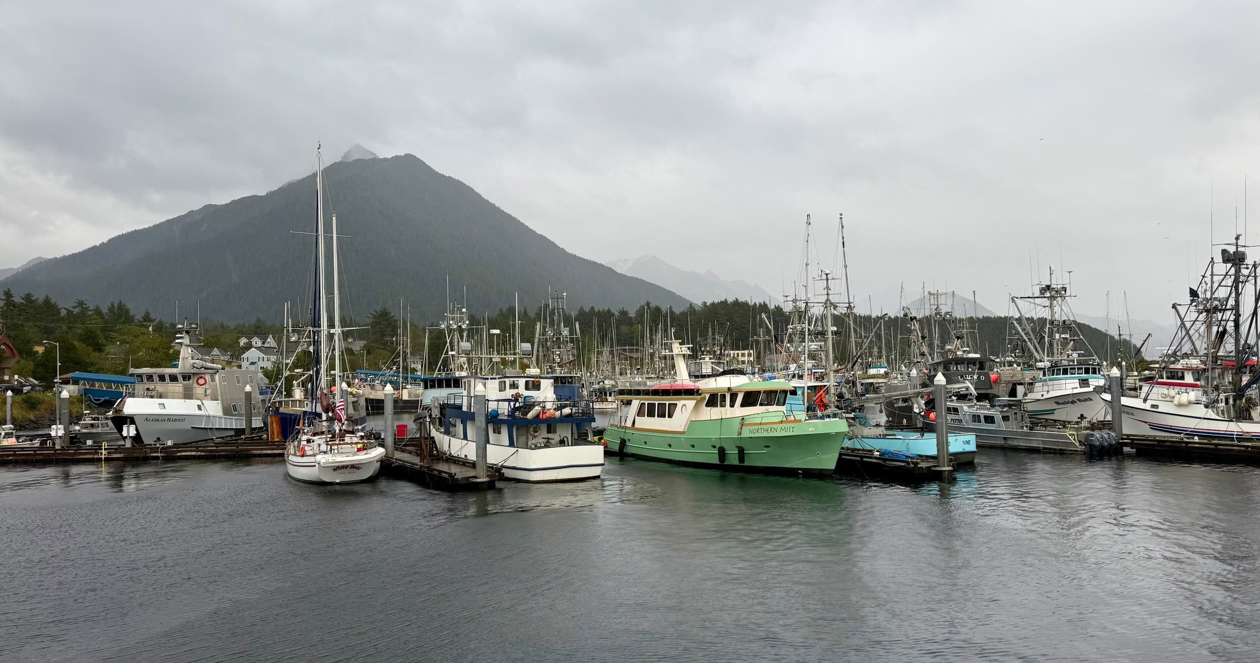 Private Sitka Fishing Charter: 5-Hour Salmon & Halibut Adventure in the Inside Passage photo 1