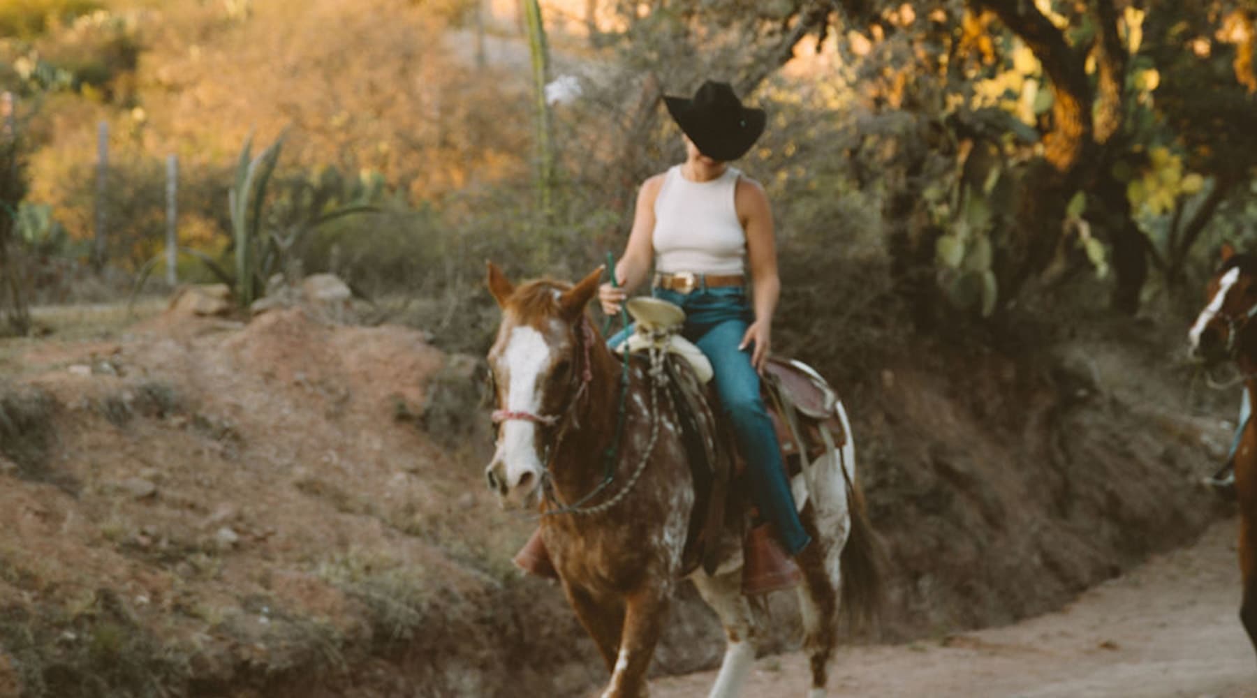 Sunset Horseback Ride in Marroquín de Abajo Guanajuato Hilltop Views photo 3