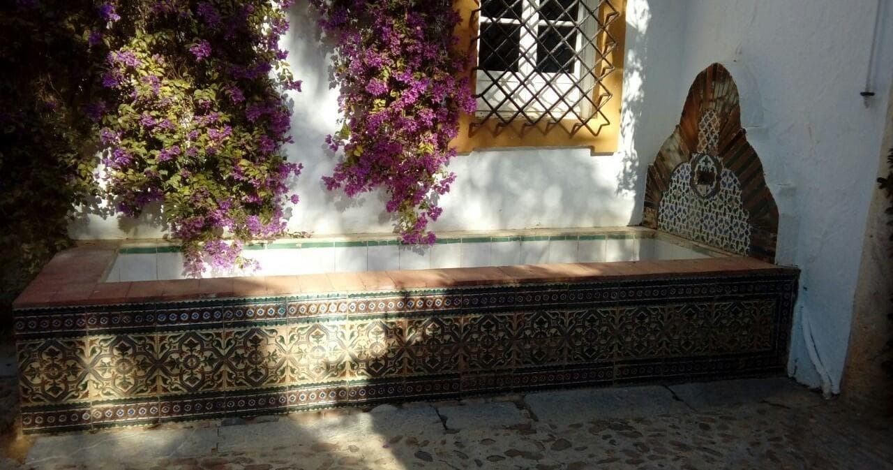 Historic Sevilla Tour at Palacio de Dueñas by All Sevilla Guided Tours