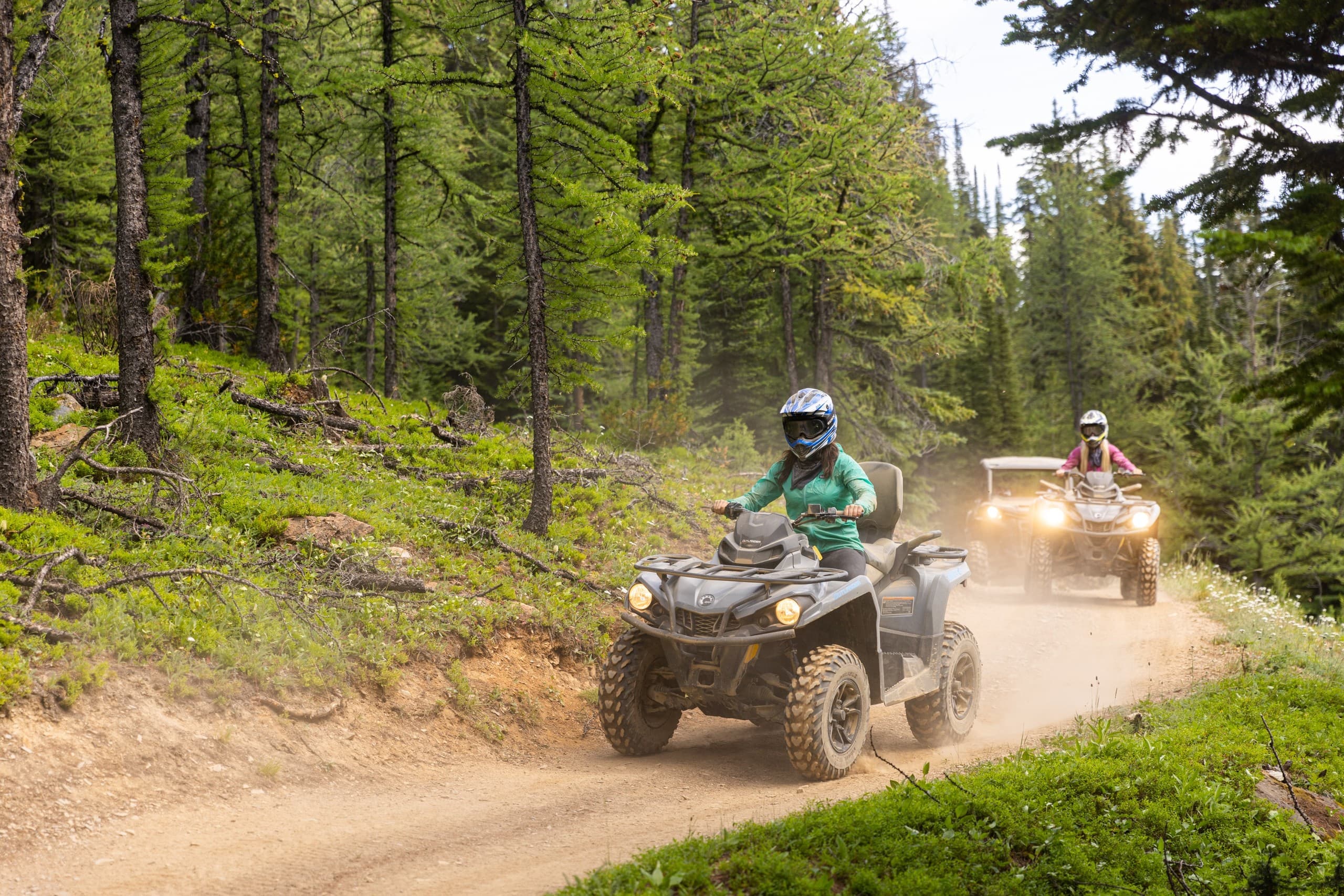 Taste of the Valley: One-Hour ATV & SXS Ride Above Panorama, BC