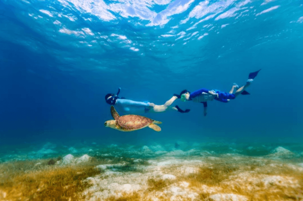 Half Day Sail & Snorkel Adventure in St. John