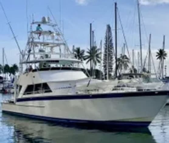 Four Hour Whale Watch Cruise in Haleiwa, Hawaii